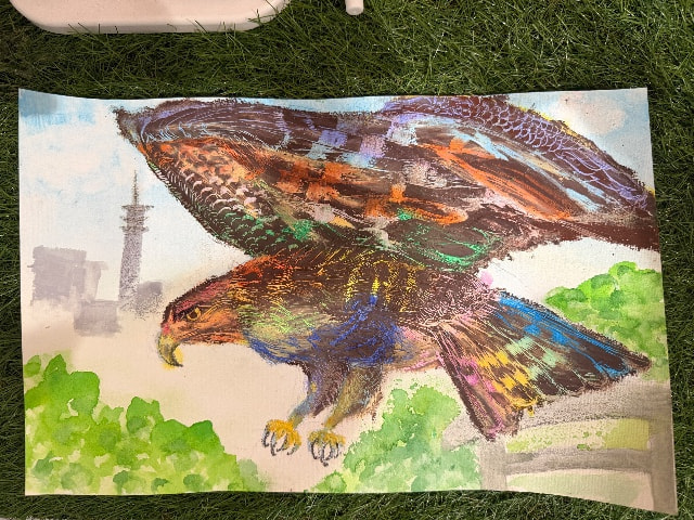 24.  田無に鷹が来た！