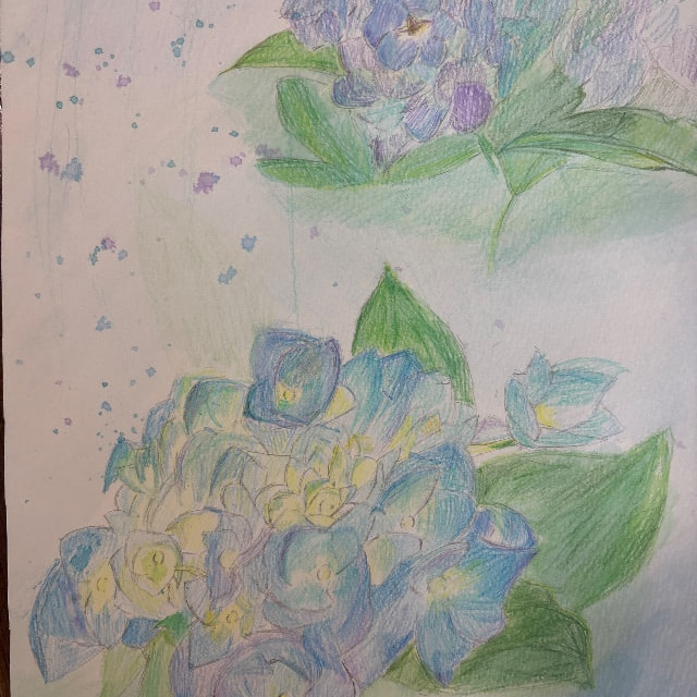 29.  梅雨の花
