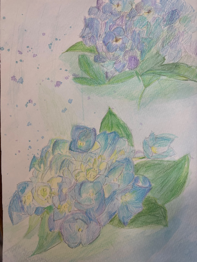 29.  梅雨の花